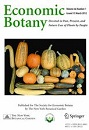 The enigma of Solanum maglia in the origin of the Chilean cultivated potato, Solanum tuberosum Chilotanum Group.