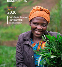 Informe Anual 2020. Construir, Innovar, Transformar: Soluciones Colaborativas para Desafíos Globales
