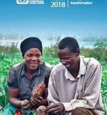 CIP Annual Report 2018. Towards food system transformation.