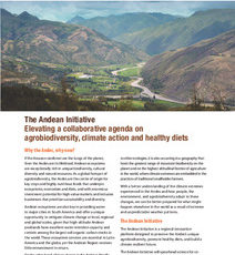 The Andean Initiative: Elevating a collaborative agenda on agrobiodiversity, climate action and healthy diets