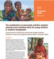The contribution of community nutrition scholars towards more nutritious diets for young children in Southern Bangladesh. Research Brief 01
