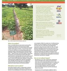 HARVESTPLUS enhancing on-farm access to vitamin A sweetpotato pathogen-tested planting material in Uganda: Strategies for sustainable adoption.