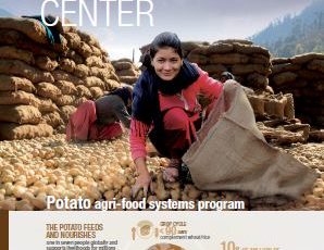 Potato agri-food systems program