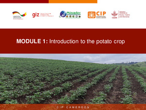 MODULE 1: Introduction To The Potato Crop - International Potato Center