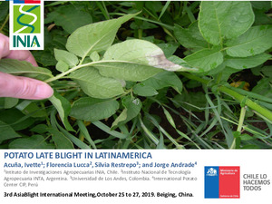 Potato late blight in Latinamerica.
