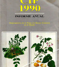 Informe Anual CIP 1990