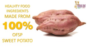 Roundtable meeting Nairobi, Kenya - Healhty food ingredients made from 100% OFSP sweet potato