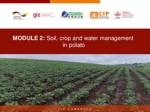 MODULE 2: Soil, crop and water management​ in potato​