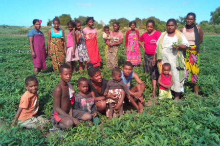 Sweet Recovery: Tackling Vitamin A deficiency and reviving sweetpotato production in drought-affected Southern Madagascar