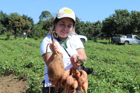 Boosting abilities to develop nutritious sweetpotatoes for Central Americans