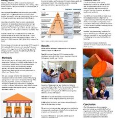 Facilitating learning and capacity strengthening: lessons from the reaching agents of change project in scaling up orange-fleshed sweetpotato (OFSP)