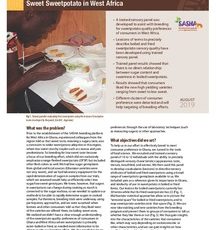 Breeding and prospects for low sweet sweetpotato in West Africa.