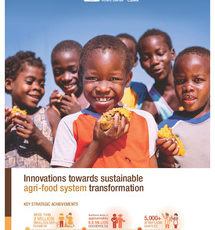 Innovations towards sustainable agri-food system transformation. Key strategic achievements