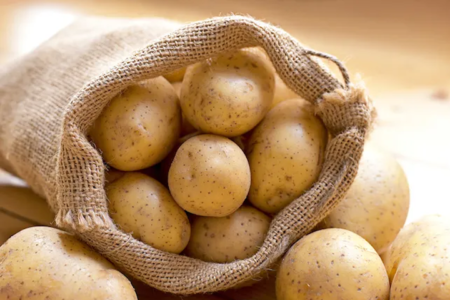 Ethiopia approves genetically engineered potatoes trials