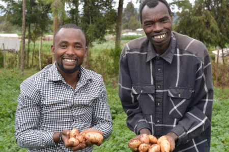 Report: Kenya offers lessons in potato, sweetpotato seed systems in Africa