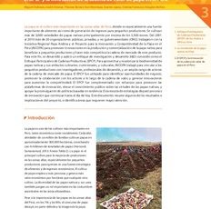 El EPCP y la innovacion de cadena de mercado de papa en el Peru. Resumen de innovacion 3 de Papa Andina.