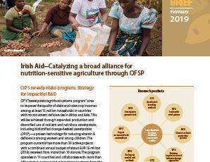 Irish Aid-Catalyzing a broad alliance for nutrition-sensitive agriculture through OFSP.