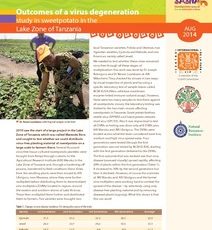 Outcomes of a virus degeneration study in sweetpotato in the Lake zone of Tanzania