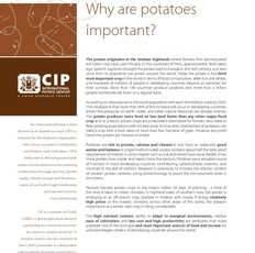 Why are potatoes important?