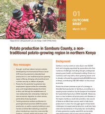 Potato production in Samburu County, a nontraditional potato-growing region in northern Kenya. Outcome Brief 1