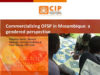 Commercializing OFSP in Mozambique: a gendered perspective