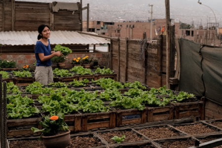Focusing on food systems to make cities sustainable and resilient