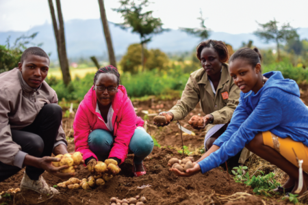 Feed the Future accelerated institutional and food system development in Kenya