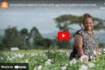 Video: CIP – Innovations towards sustainable agri-food system transformation