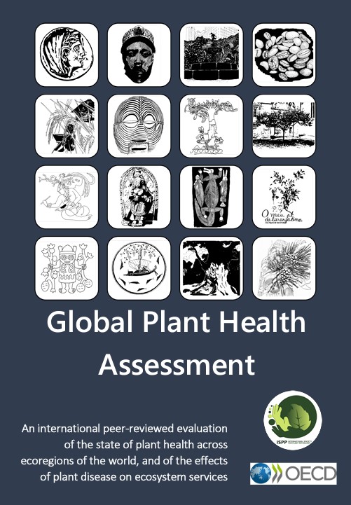 Global Plant Health Assessment. An international peer‐reviewed