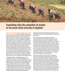 Exploiting fully the potential of potato to increase food security in Uganda