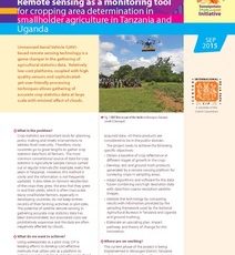 Remote sensing as a monitoring tool for cropping area determination in smallholder agriculture in Tanzania and Uganda