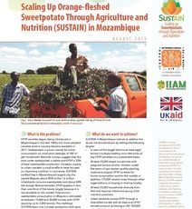 Scaling up orange-fleshed sweetpotato through agriculture and nutrition (SUSTAIN) in Mozambique