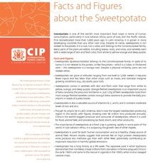 Facts and figures about the sweetpotato.