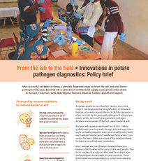From the lab to the field. Innovations in potato pathogen diagnostics: Policy brief