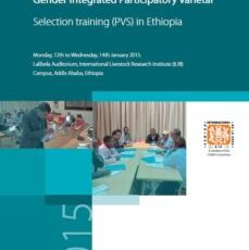 Workshop Report: Training on Gender Integrated Potato Participatory Varietal Selection (PVS) in Ethiopia.