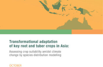 Transformational adaptation of key root and tuber crops in Asia using species distribution modelling to assess crop suitability under progressing climate change