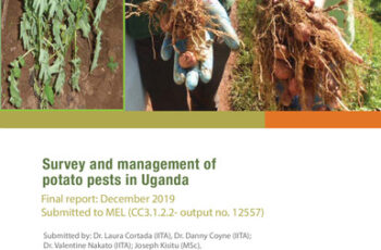 Survey and management of potato pests in Uganda (CC3.1.2.2 - output no. 12557)