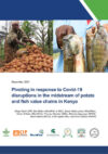 Pivoting in response to Covid-19 disruptions in the midstream of potato and fish value chains in Kenya