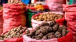 Perú obtiene dos super variedades de papa para cubrir la demanda de papas fritas en pollerías
