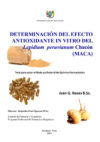 Determinación del efecto antioxidante in vitro del Lepidium peruvianum Chacon (Maca)