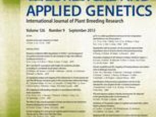 Sequencing depth and genotype quality: accuracy and breeding operation considerations for genomic selection applications in autopolyploid crops