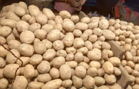 Huge demand for potato: Telangana potato is pouring money, but.. | Telangana government plans to increase production of potato due to heavy demand