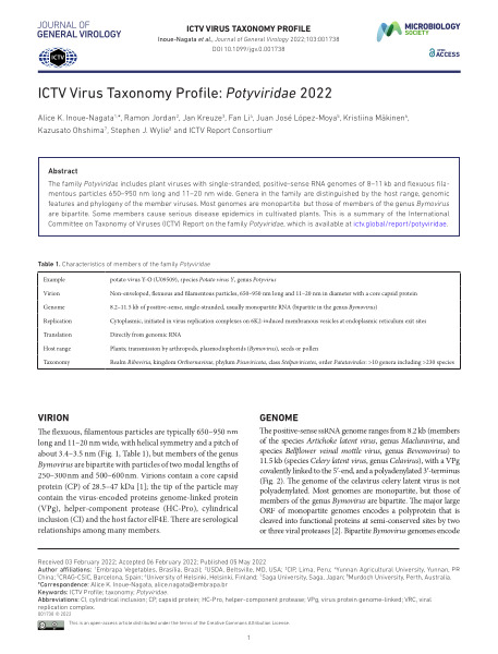 ICTV Virus Taxonomy Profile: Potyviridae 2022 - International Potato Center