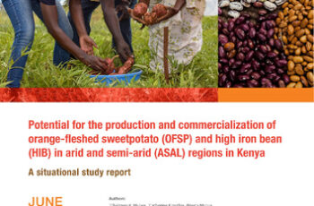 Potential for producing and commercializing orange-fleshed sweetpotato and high-iron bean in selected regions of Kenya. A situational study report