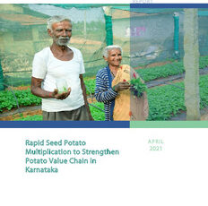 Rapid Seed Potato Multiplication to Strengthen Potato Value Chain in Karnataka. Half-Year Report (August 2020–January 2021)