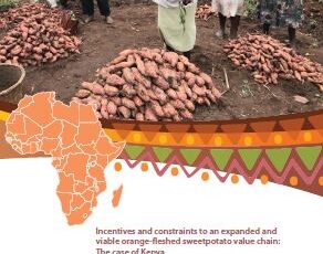 Incentives and constraints to an expanded and viable orange‐fleshed sweetpotato value chain: The case of Kenya.