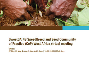 SweetGAINS project Speed Breed and Seed Community of Practice-West Africa virtual meeting report (27,29 May; 1,3,5 June 2020)