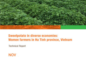 Sweetpotato in diverse economies: Women farmers in Ha Tinh province, Vietnam