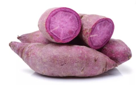 International Potato Center introduces drought-resistant purple-fleshed sweet potato in Kenya