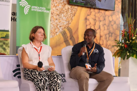 CGIAR Research and Innovation on Root and Tuber Crops: Key in Africa's Solutions to Agrifood Systems Transformation